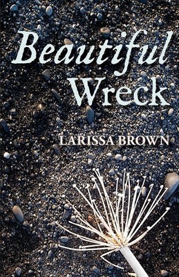Beautiful Wreck Brown, Larissa paperback Very Good