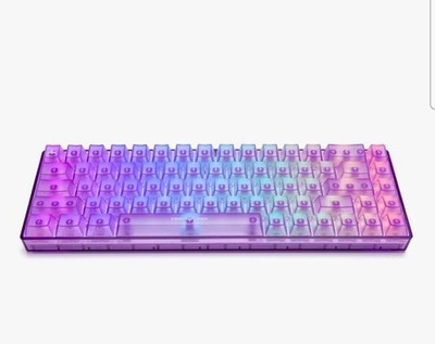 Higround Amethyst WF Free Fast Shipping Mechanical USB-C Wired Gaming Keyboard