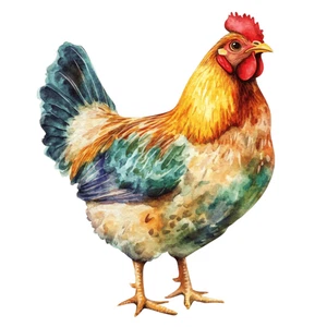 Farm Animals Chicken Self Adhesive Vinyl Sticker