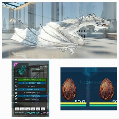 ARK ASCENDED PVE OFFICIAL 2 EGGS WYVERN FIRE ALBINO #36 TOP STATUS 1180% MELEE