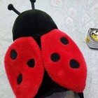 Picture 5 of 5