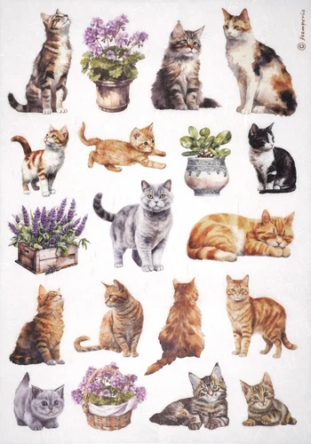 Stamperia A4 Rice Paper for Decoupage - Cats - DFSA4887