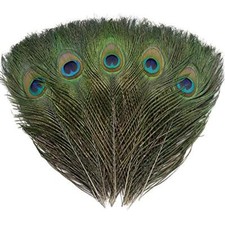 24 PCS Real Natural Peacock Eye Feathers 10-12 inch for DIY Craft, Wedding and 