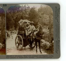 Ekka with Passenger Cashmere to Murree India Underwood Stereoview