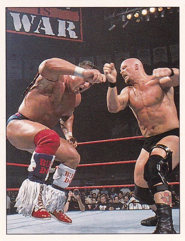 Stone Cold Steve Austin British Bulldog 1997 WWF Panini Wrestling