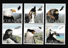 Curacao 2014 Raptors Set UM