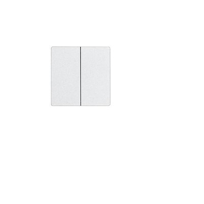 Eltako Doppelwippe im E-Design55 DW-W2T55E-wg Bussystem-Tastwippen 30055937