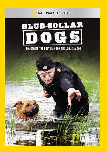 Blue Collar Dogs (DVD)