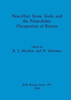 Non-Flint Stone Tools And The Palaeolithic Occupation Of Britain | Taschenbuch