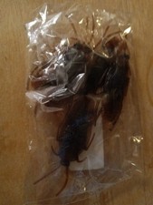 Prank Fake Roaches, Favorite Trick Joke Toys Look Real, Scary Insects for Party