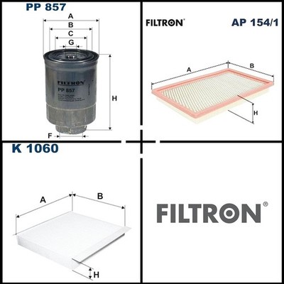 Filtron Filterset, Inspektionspaket für Ford MAVERICK MAVERICK VAN Nissan