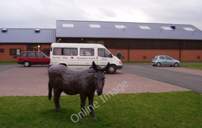 Photo 6x4 The Elizabeth Svendsen Trust for Children and Donkeys Droylsden c2007