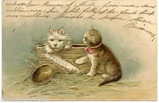 Chat. Cat. Gato. Katze. Chien. Dog. Hund. Gaufré. Embossed