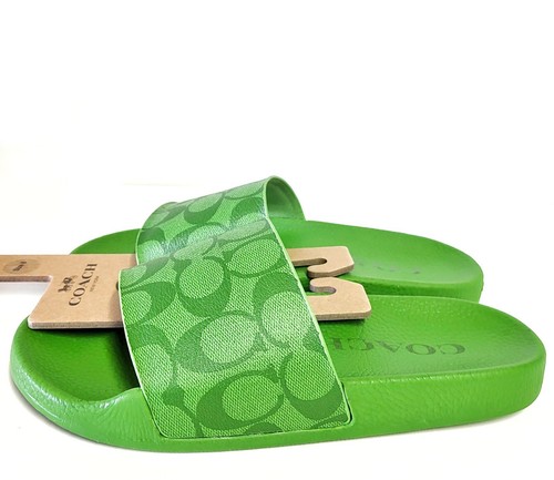 coach green slides
