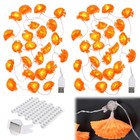 Yescom 2 Pcs 20ft 40 LED Marigold String Lights w/ Magnetic U-Clips for Decor — photo 3