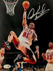 Dennis Rodman Signed METALLIC Photo 8x10  NWO Bulls Worm Autograph HOF JSA HOGAN