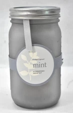 Modern Sprout Mint Hydroponic Grow Kit Jar Complete Set Planting Gardening