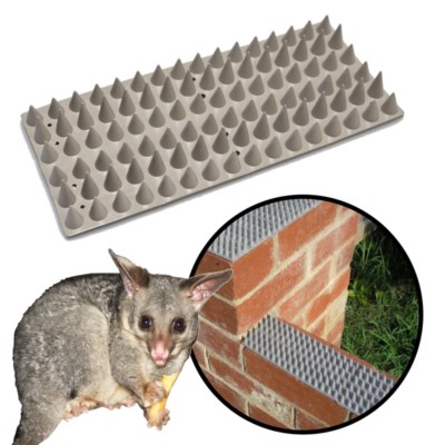 SPIKED FENCE CAPPING FLAT Cat \u0026 Possum 
