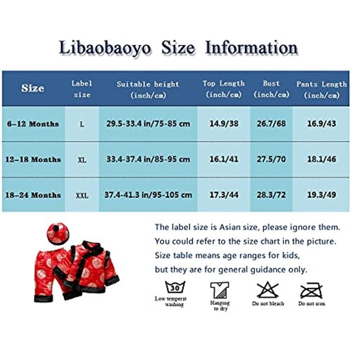 Infant Baby 3-Piece Tang Suit Chinese Traditional Embroidered Winter Warm Outfit - Picture 2 of 7