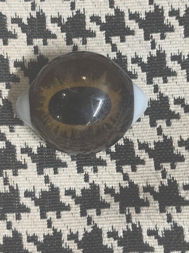 Taxidermy Glass 1 Eye Large Brown Animal Eye Oddity Curio 1.5” Collectible VTG