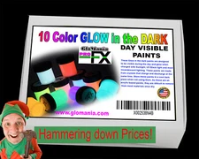 10 Color Glow in the Dark Paint Set Acrylic Arts and Crafts
