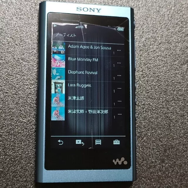 Sony NW-A55 blue Digital Audio Player Walkman Hi-Res junk item | eBay