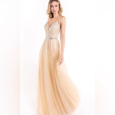 Abby Paris gown champagne NWT