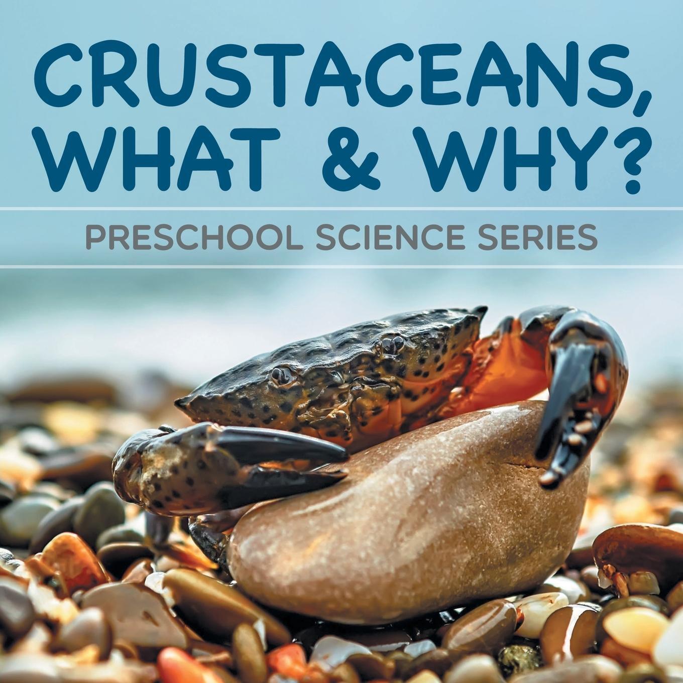 Thumbnail - Crustaceans, What & Why? | Baby | Preschool Science Series |