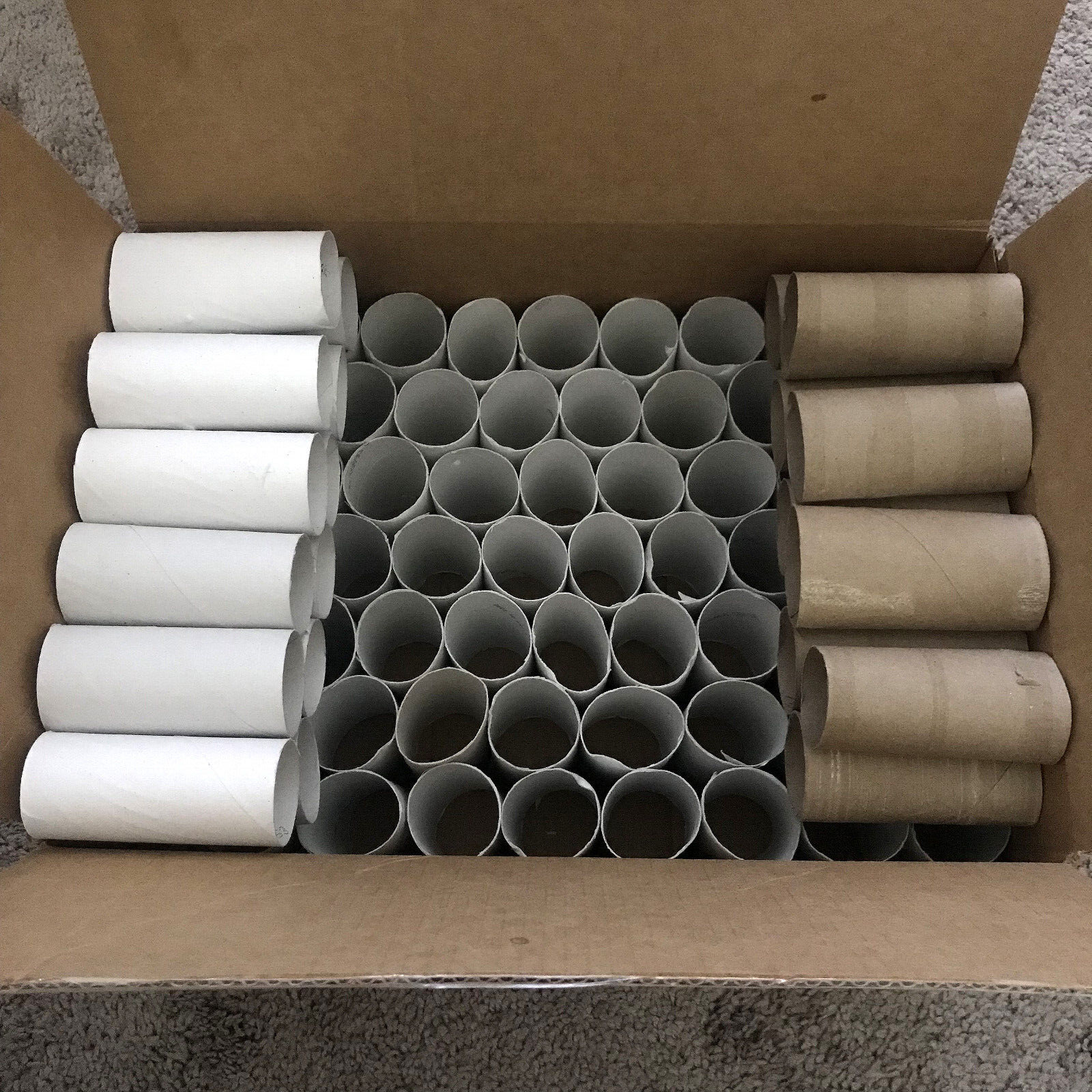 Multiple Items Inside 87 X EMPTY Toilet Paper ROLLS WHITE BROWN TP Cardboard Tubes | School ...