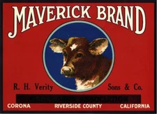 Corona Riverside County Maverick Cow Lemon Citrus Fruit Crate Label Art Print