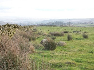 Photo 6x4 Dryish field, Little London farm Eldwick Much easier going than c2017