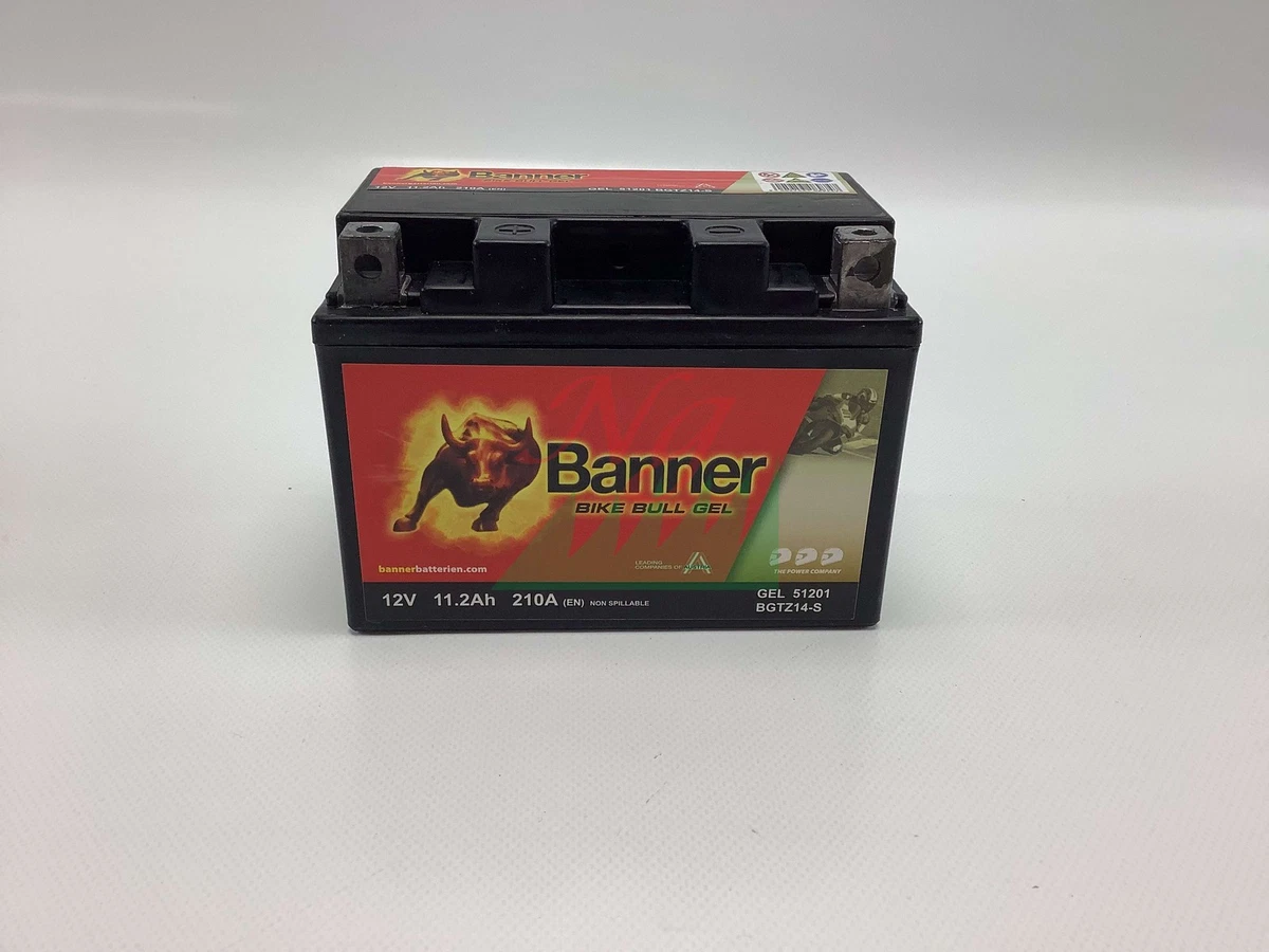 Batteria Gel 12V 21Ah Per Trattorino Rasaerba – Tecnologia GEL, Doppia Durata, 250A EN, Senza Manutenzione, Precaricata