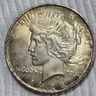 1923 P Peace Silver Dollar Estimated Almost Uncirculated 58 Toner And Crack 0637