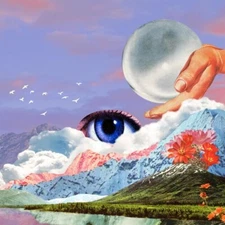 Paradiso by Turkuaz (Record, 2023)