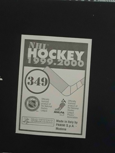 Panini NHL Hockey 1999 2000 99 00 ELIGE CUALQUIER PEGATINA CASI NUEVA/COMO NUEVA #201-360# - Imagen 279 de 297
