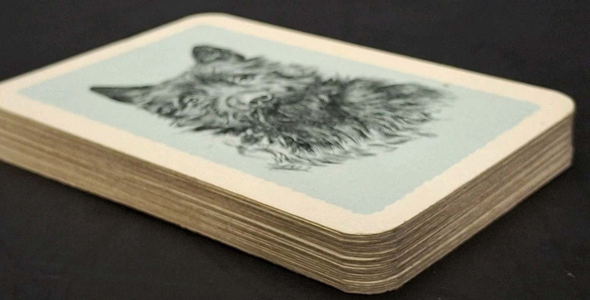 Vintage German Card Game (25 Cards) Schwarzer Peter Colorful