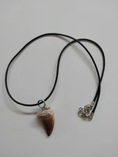 Real Dinosaur Mosasaur tooth necklace with chain jewelry gift fossil