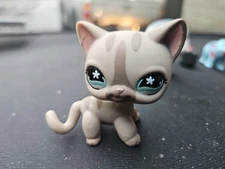 Littlest Pet Shop # 468 Gray Striped Short Hair Cat Blue Flower Eyes Authentic