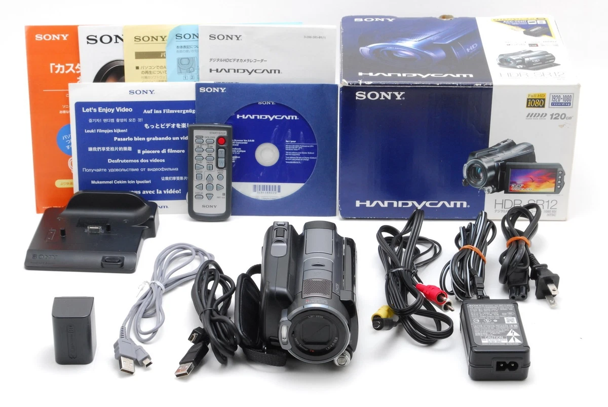 SONY HDR-SR12 HDD120GB ハンディーカム Lバッテリー Amazon.com : Battery Pack for Sony HDR-SR10E, HDR-SR11E, HDR-SR12E