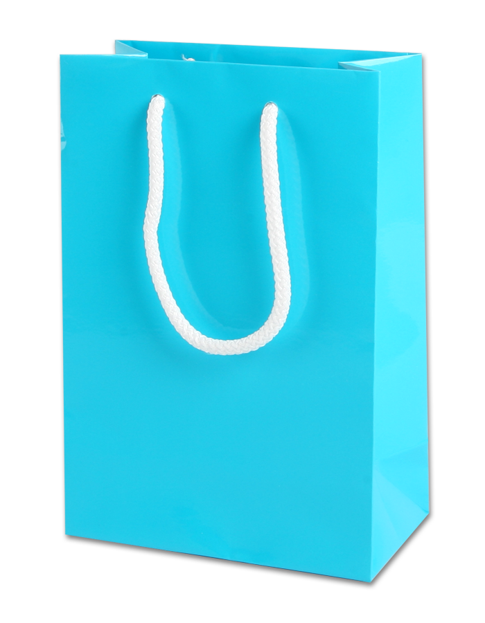 10 x Luxury Gloss Paper Party Boutique Bags with Rope Handles, Craft