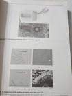 Foto 6 di 8