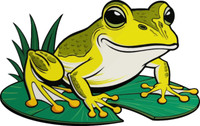 Aufkleber Kleiner Frosch Auf Seerosenblatt Autoaufkleber Sticker Konturschnitt