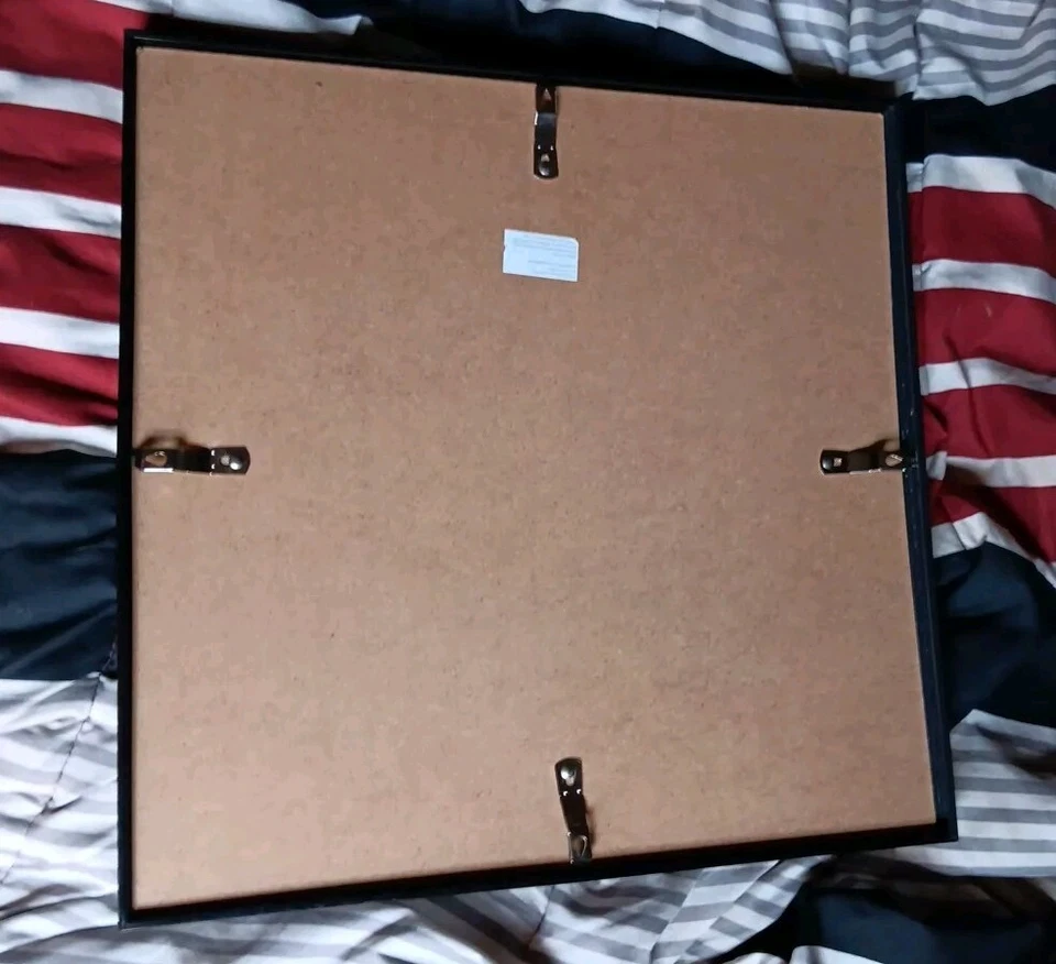 James Hinchcliffe Autographed T-shirt/picture W-COA Indy Car #5 - Image 2 of 3