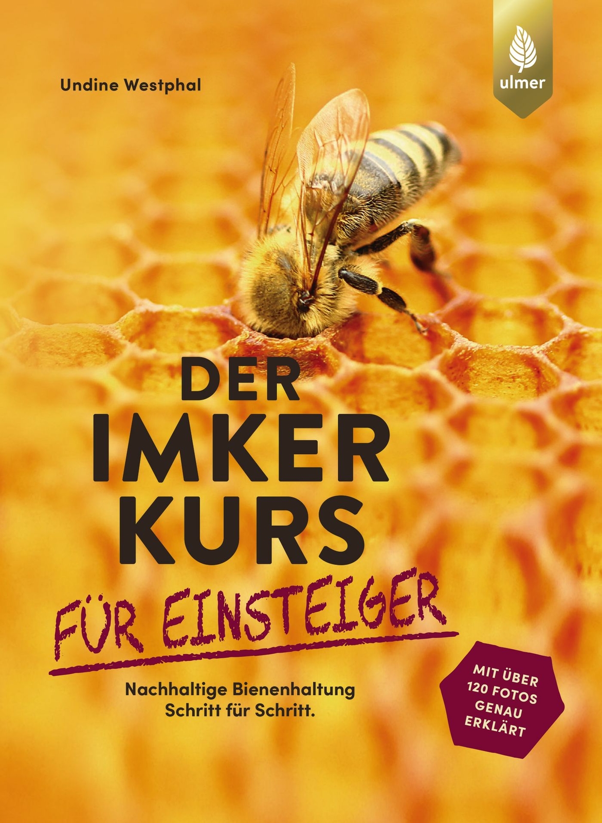 Thumbnail - Undine Westphal / Der Imkerkurs Für Einsteiger
