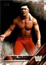 2016 Topps WWE Then Now Forever #191 Ricky 