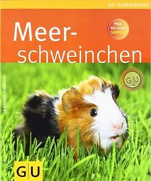 Meerschweinchen (Tierratgeber) von Birmelin, Immanuel | Buch | Zustand sehr gut - Picture 1 of 1