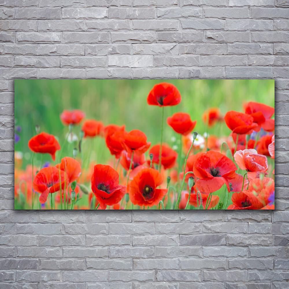 Tableau plexiglas coquelicots resistant a l'humidite pour embellir une cuisine