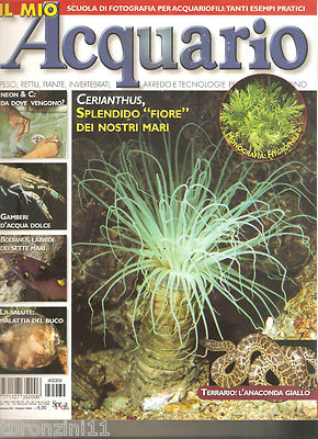 MEIN AQUARIUM - JUNI 2004 - NR.69