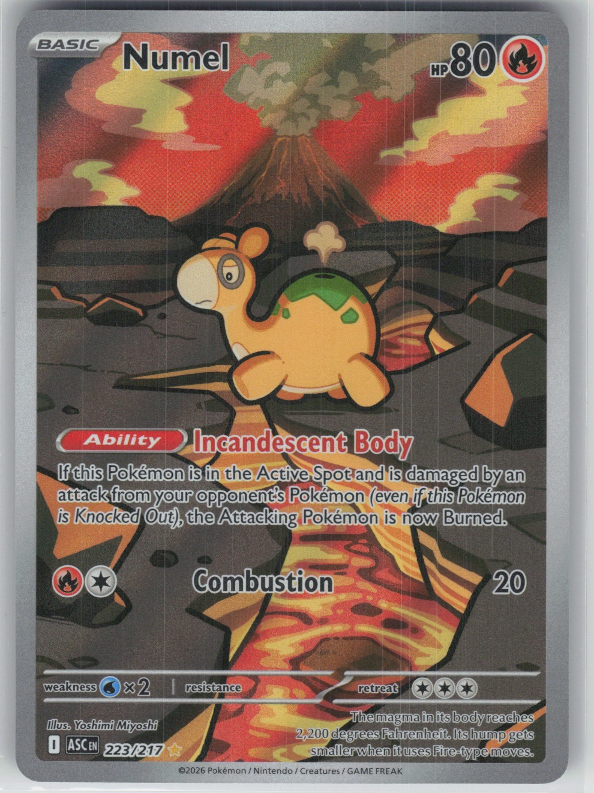 Numel Pokemon TCG ME: Ascended Heroes 223/217 NM
