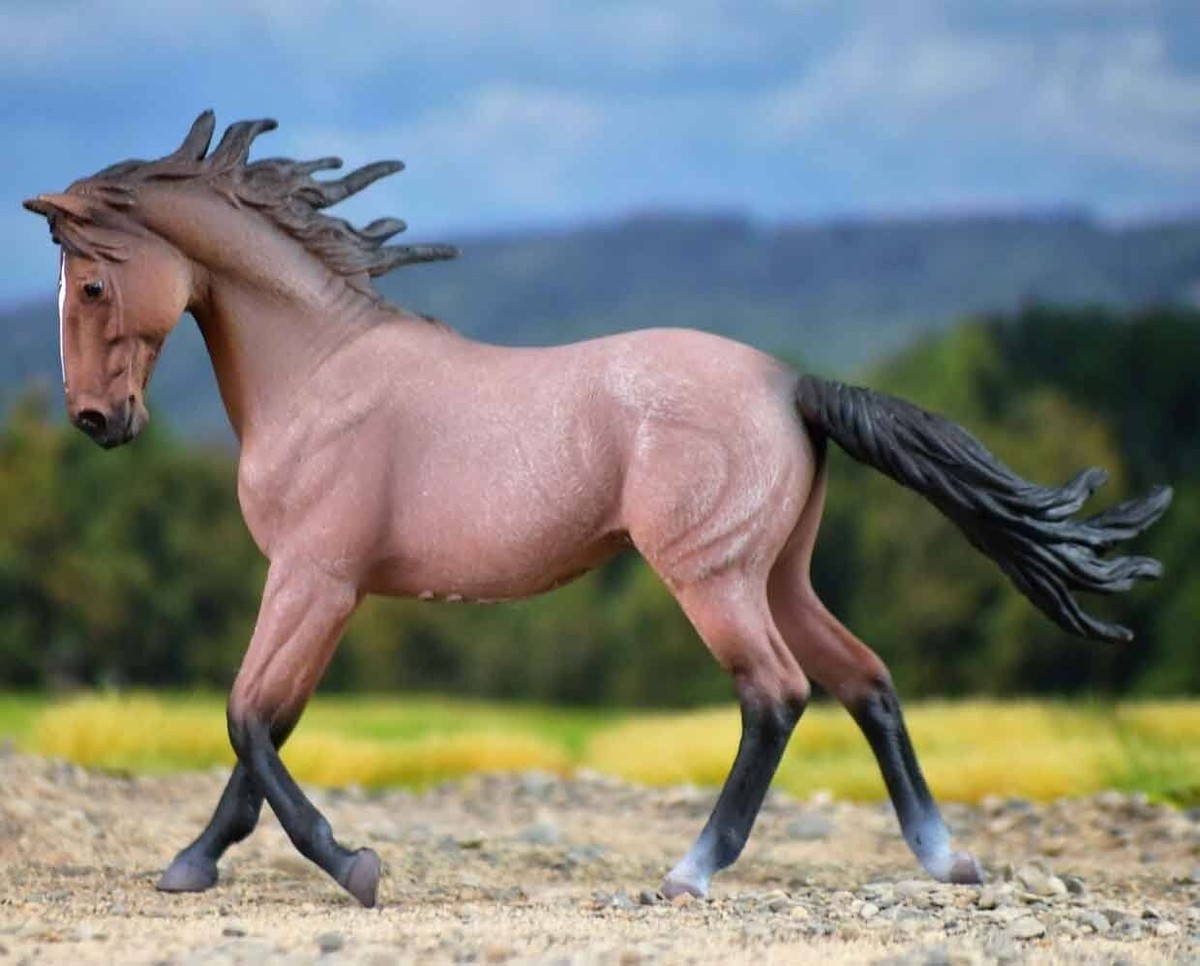 Collcta イッカク khxv5rg CollectA by Breyer Bay Roan Mustang Mare #88543 | eBay
